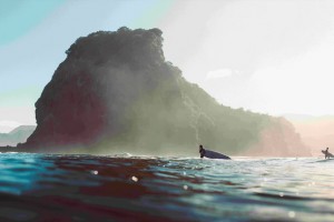 rsz_nzln-piha_2richard-hodder_lion-rock-piha