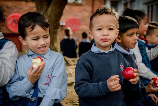 Call for new healthy school lunch suppliers