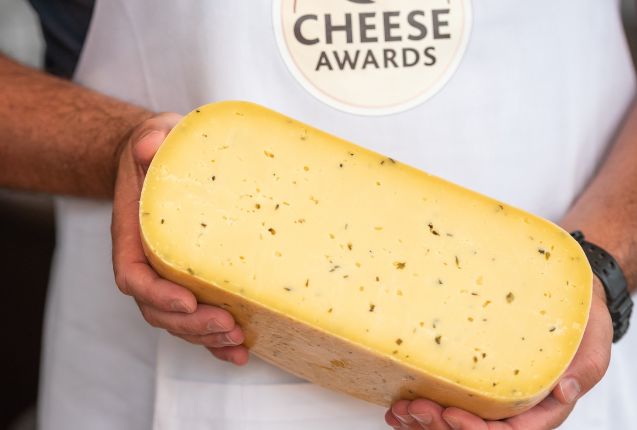 champions of cheese awards 2025